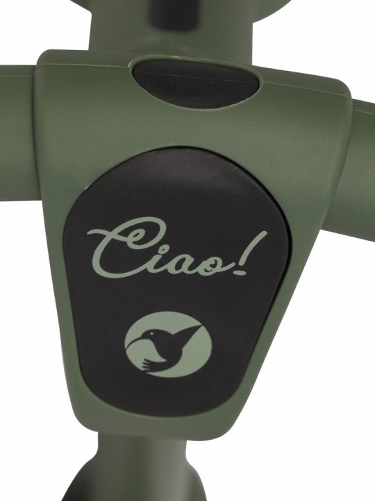 Bicicleta de echilibru pentru copii, fara pedale, pliabila, cu scaunelul si ghidonul reglabile pe inaltime, cu roti din cauciuc de 12 inch, Colibro Ciao Forest Green