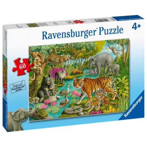 PUZZLE PADURE IN INDIA, 60 PIESE PUZZLE PADURE IN INDIA, 60 PIESE