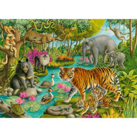 PUZZLE PADURE IN INDIA, 60 PIESE PUZZLE PADURE IN INDIA, 60 PIESE