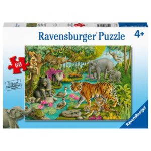PUZZLE PADURE IN INDIA, 60 PIESE PUZZLE PADURE IN INDIA, 60 PIESE